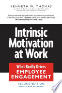 Intrinsic Motivation at Work book cover