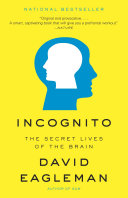 Incognito book cover