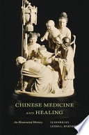 Chinese Medicine and Healing book cover