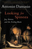 Looking for Spinoza book cover