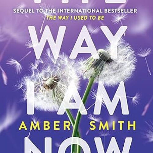 The Way I Am Now by Amber Smith (paperback)Book 2