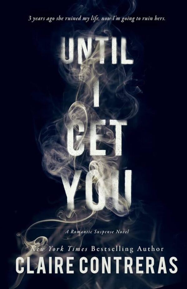 Until I Get You: A Hockey Romance Novel (Fairview Hockey Book 1)